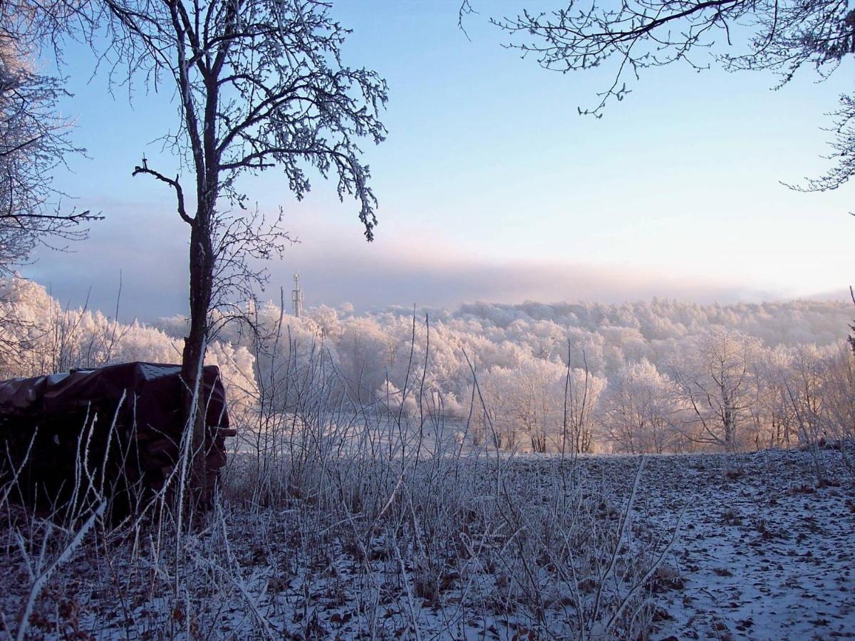 Am Klosterberg 6 * Bad Brückenau